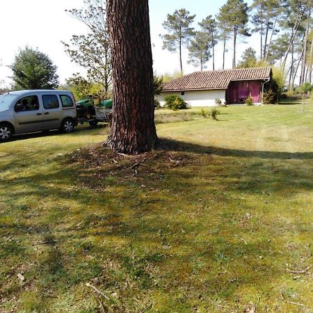 Maison confort avec cheminée , 2 chambres , sur un parc de 4000m2 arboré et clos Pissos Exterior foto